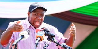 Laikipia Governor Ndiritu Muriithi