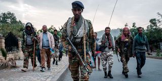 Tigray Defence Force TDF