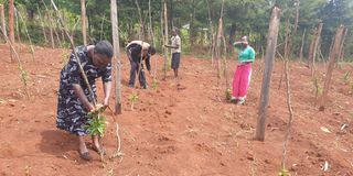 Members of Kulongei group. 