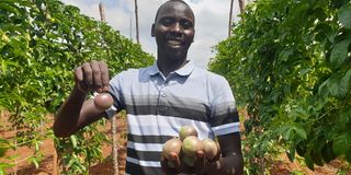 Edwin Rono displays ripe passion fruits