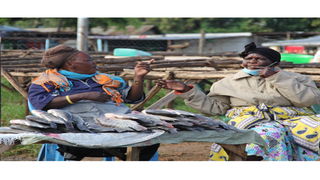 Fish sellers