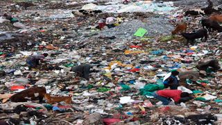 Dandora dumpsite 