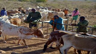 Loisaba wildlife conservancy