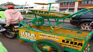 UDA wheelbarrow 