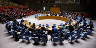 UN Security Council