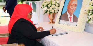 Tanzanian President Samia Suluhu