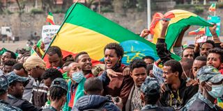 Addis Ababa protests