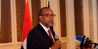 Foreign Affairs PS Macharia Kamau