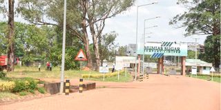 Mumias Sugar Company