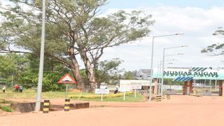 Mumias Sugar Company