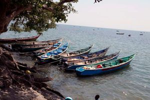 Fishing boats 