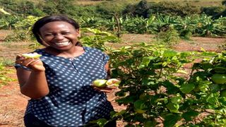 Farmer Caroline Muriithi