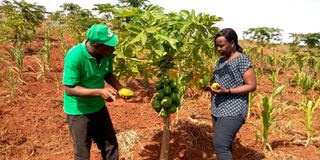 Farmer Caroline Muriithi