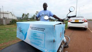 Chinese fish imports