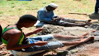 Fishing nets