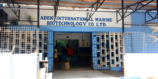 Aden International Marine Biotechnology company
