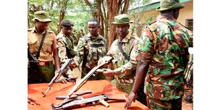 Baringo guns