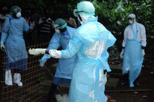 marburg virus guinea