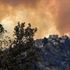 Algeria fire