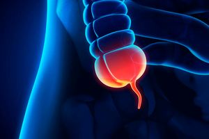 appendix
