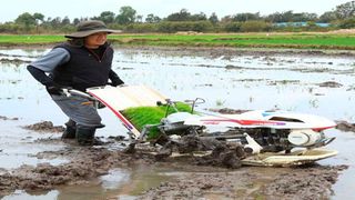 Rice transplanter