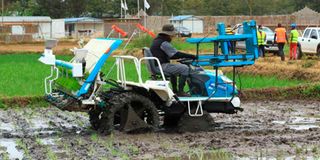 rice transplanter