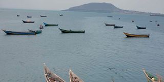 Fishing boats