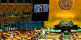 UN General Assembly