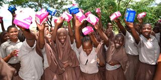  Kashani Primary School 