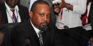 Mukuria Ngamau Director of Quorandum Ltd youth fund court 