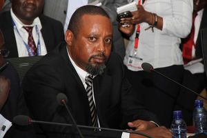 Mukuria Ngamau Director of Quorandum Ltd youth fund court 