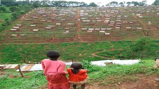 mau forest evictions