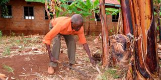 Mzee Mwamba M’Irandu 