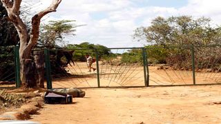 Laikipia Nature Conservancy