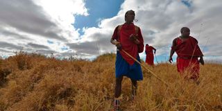 Maasai Morans