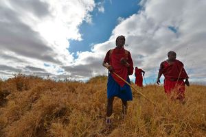 Maasai Morans