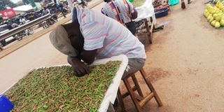 Grasshopper vendors