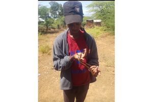 Frederick Kimuge holding a snake