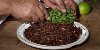 Chapulines