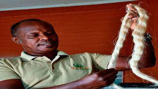 Muturi Kimani's Banana Fibre Hair Extensions