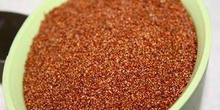 Teff grain.