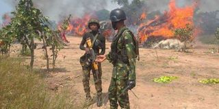 Nigerian military 