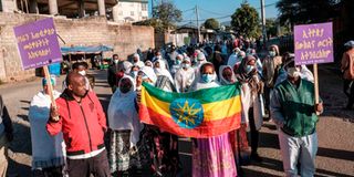 Rally condemning TPLF