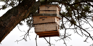 Beehive