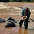 Mara River Users Association Secretary Paul Rono looks for invertebrates in River Mara to determine the health of the river. 