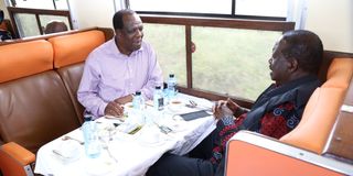 Raila Odinga and Wycliffe Oparanya