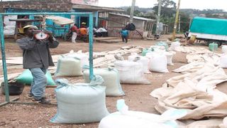 Maize Farmers