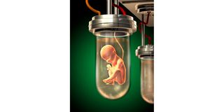 An artificial womb would need an outer shell or chamber to implant the embryo and protect it as it grows. 