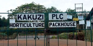 Kakuzi PLC