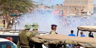 Ruto Jacaranda Rally